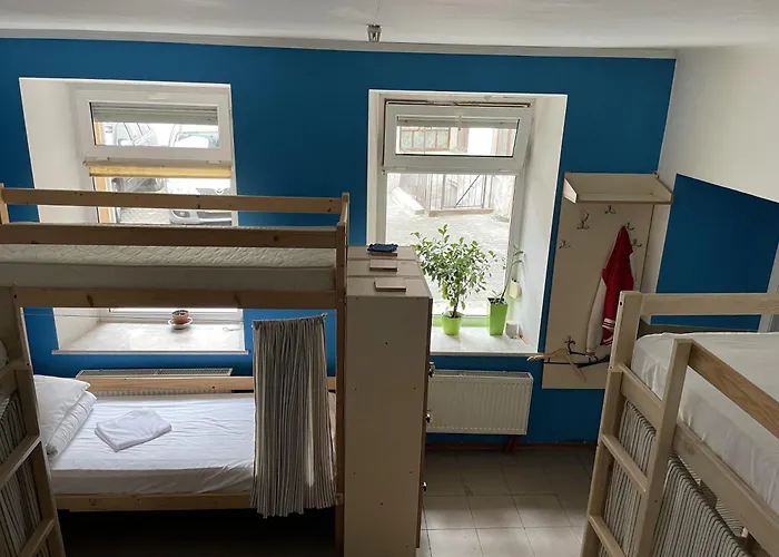 Antihostel Forrest
