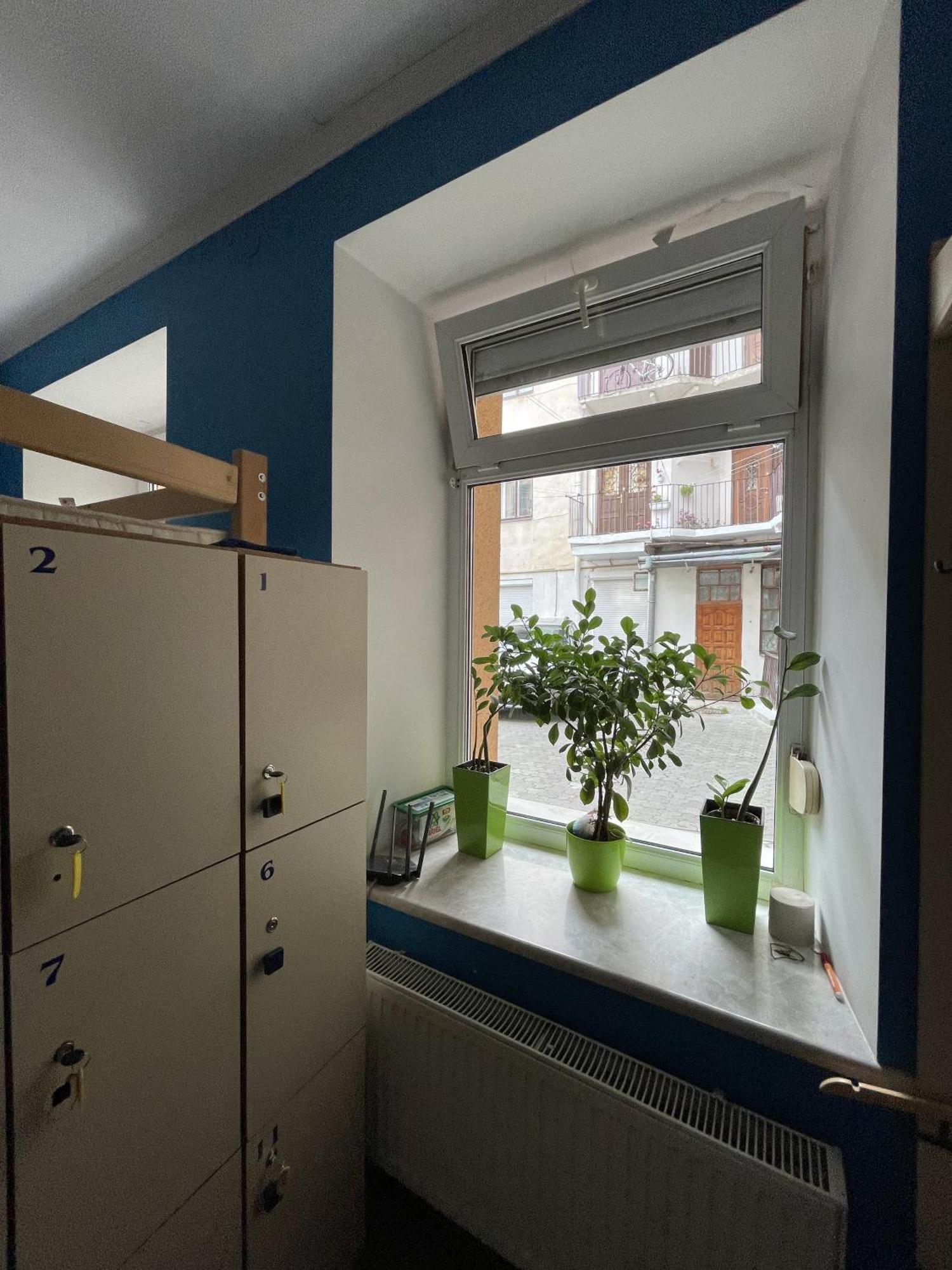 Antihostel Forrest بيت شباب